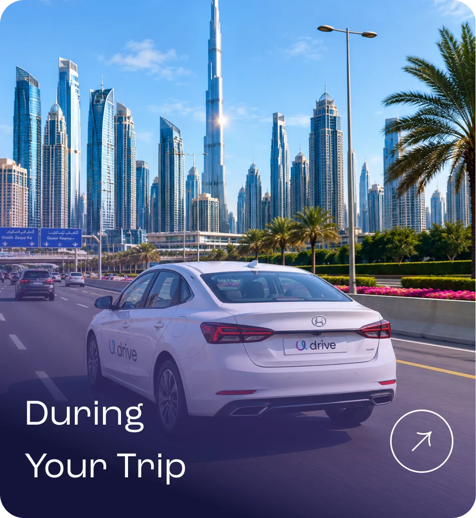 During Your Trip